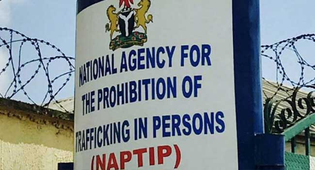 NAPTIP drags hospital, four others to court for organ harvesting