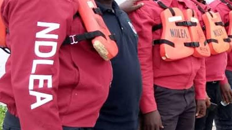 NDLEA arrested 50,901 in 38 months, says Marwa