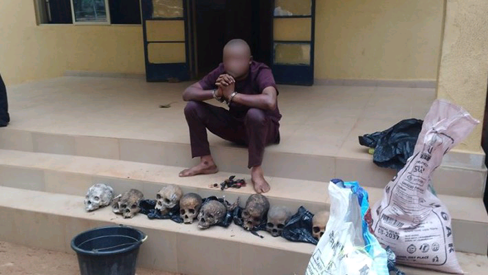 Ritualist caught with 8 human skulls priced at N30,000 each in Ondo