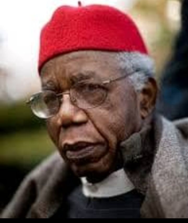Tinubu names Abuja expressway after Chinua Achebe