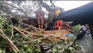 Tragedy: Trees kill 4 at Jattu market during rainfall in Edo