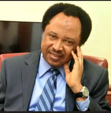 Appointments: Shehu Sani urges Tinubu to consider competence