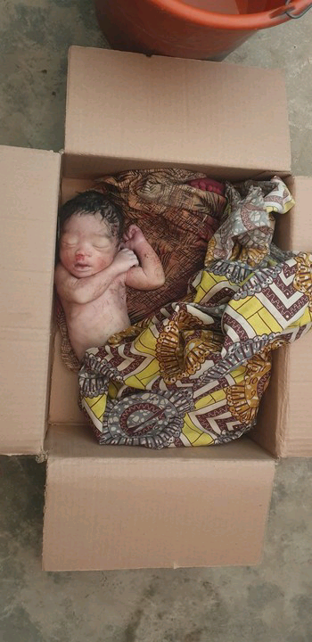 Newborn baby found dead in abandoned carton in Kano