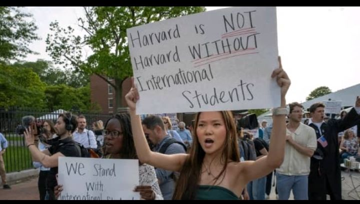 Foreign students seek to quit Harvard amid Trump crackdown