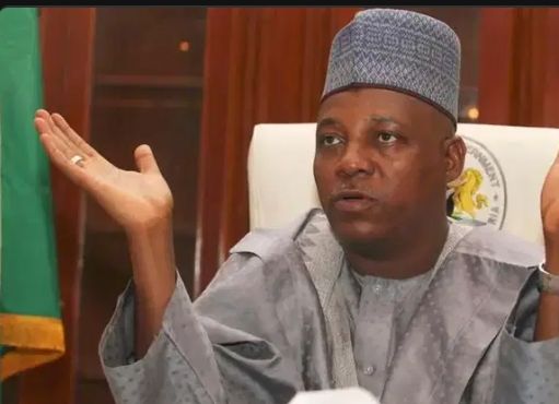Omission of Vice President Shettima’s image at North-East Event sparks outrage    … Speaker expresses shock over exclusion